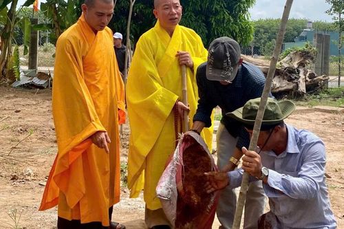Đồng Nai: Chùa Bửu Lâm trồng 150 cây xanh lan tỏa thông điệp Vì môi trường xanh
