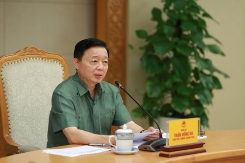Nghiên cứu đánh thuế đất hoang hóa và các dự án chậm triển khai