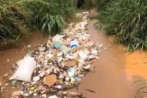 Xả thải bừa bãi, dân Đà Lạt lãnh đủ
