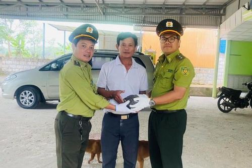 Loại bỏ sử dụng động vật hoang dã nguy cấp, quý hiếm trong y học cổ truyền