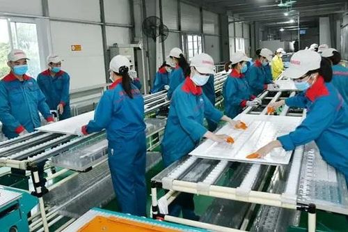 Cần cơ chế chính sách để 'nuôi lớn' doanh nghiệp tư nhân