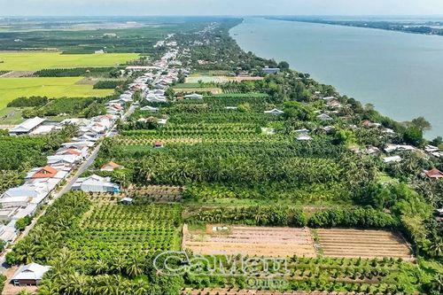 Sức vươn Cù lao Tây