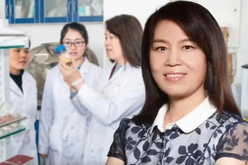 Phó hiệu trưởng đại học là người giàu nhất một tỉnh ở Trung Quốc