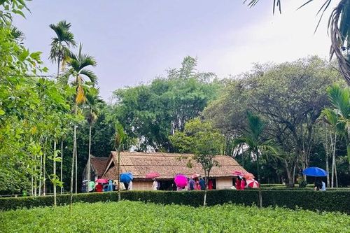 Từ Làng Sen Kim Liên đến Đền Chung Sơn: Một ngày khám phá quê Bác