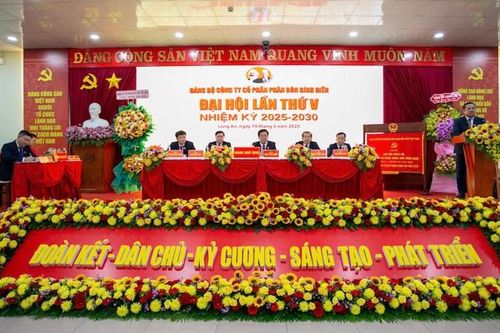 Công ty cổ phần Phân bón Bình Điền tổ chức thành công đại hội Đảng bộ lần thứ V, nhiệm kỳ 2025 – 2030
