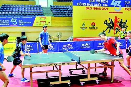 Những ứng viên sáng giá cho chức vô địch