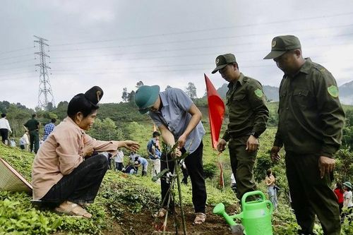 Điện Biên: Sôi nổi ngày hội ra quân trồng, chăm sóc cây mắc-ca tại huyện Tuần Giáo
