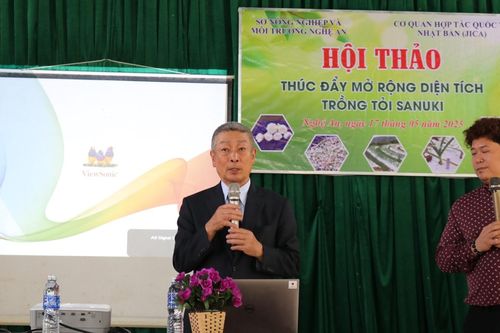 JICA chuyển giao kỹ thuật trồng tỏi cho đồng bào dân tộc thiểu số tại Nghệ An