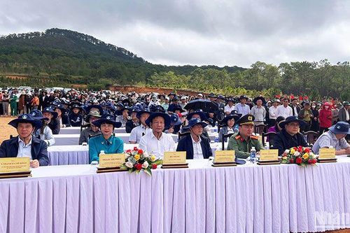 Lâm Đồng phát động trồng cây nhân kỷ niệm 135 năm Ngày sinh Chủ tịch Hồ Chí Minh