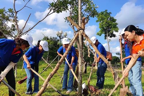 Kiều bào tham gia 'Tết trồng cây đời đời nhớ ơn Bác Hồ'