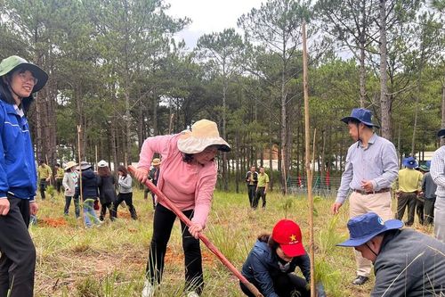Lâm Đồng nằm trong top đầu thực hiện đề án trồng 1 tỷ cây xanh