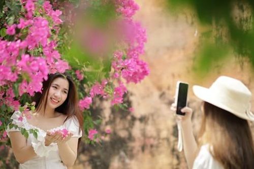 Du khách thích mê đường hoa giấy rực rỡ ở Nha Trang