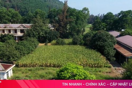 Trung tâm dạy nghề người khuyết tật nhiều tỷ đồng bỏ hoang gần 10 năm