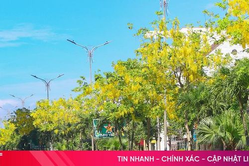 Thành Sen - mùa hoa gọi nắng