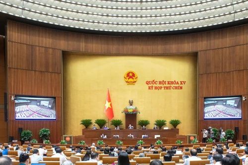 Quốc hội nghe báo cáo chủ trương đầu tư Dự án đường bộ cao tốc Quy Nhơn-Pleiku