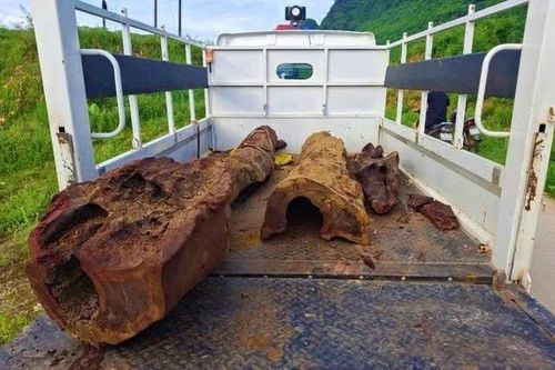 Vụ phát hiện gỗ dưới lòng sông: Giám định có phải sưa quý hiếm không?