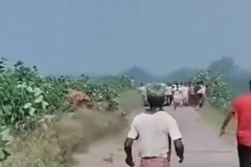 CLIP: Hổ dữ lao ra khỏi bụi rậm tấn công người đàn ông, dân làng hoảng loạn bỏ chạy
