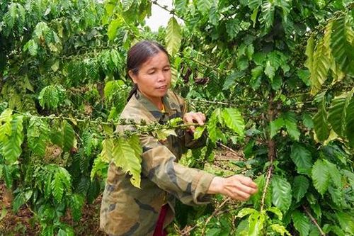 Học và làm theo Bác với niềm tin, khát vọng cống hiến