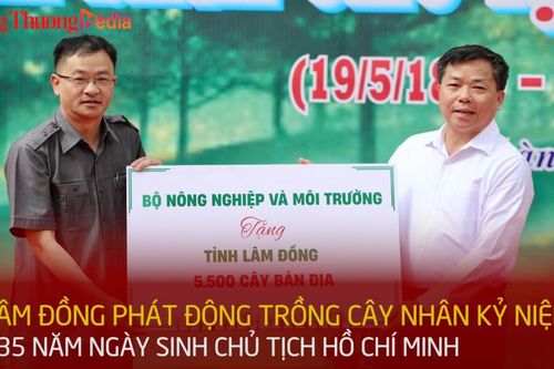 Lâm Đồng phát động trồng cây nhân kỷ niệm 135 năm ngày sinh Chủ tịch Hồ Chí Minh