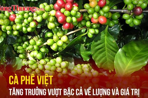 Cà phê Việt tăng trưởng vượt bậc cả về lượng và giá trị