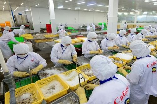 Hợp tác Việt Nam - Philippines: Sẵn sàng cho một 'cú huých' thương mại mới