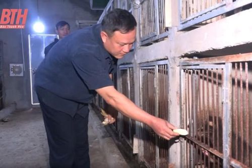 Xã khó tìm cách nâng cao tiêu chí thu nhập