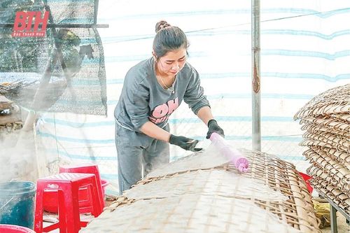 Phát triển tiêu chí sản xuất ở các xã nông thôn mới miền núi