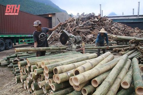 Nhân rộng mô hình HTX hoạt động hiệu quả trên địa bàn huyện Quan Hóa
