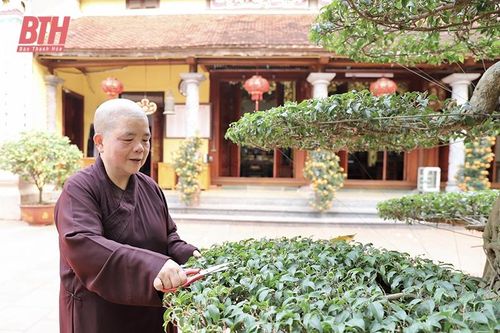 Ni trưởng Thích Đàm Hòa - gương sáng tốt đời, đẹp đạo