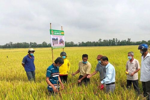 Hỗ trợ vốn để nông dân phát triển sản xuất