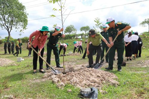 Đồng Nai trồng hơn 25 triệu cây xanh giai đoạn 2021-2025