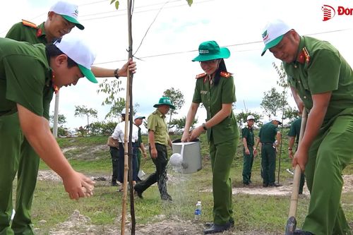 Lễ phát động Tết trồng cây đời đời nhớ ơn Bác Hồ tỉnh Đồng Nai năm 2025