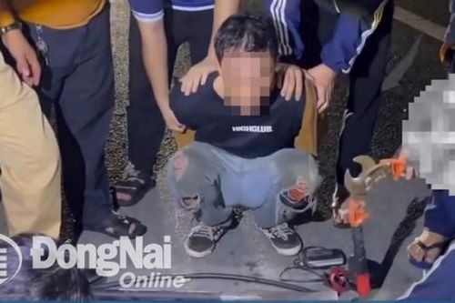 Bắt đối tượng trộm cắp cáp quang trên đường cao tốc Thành phố Hồ Chí Minh - Long Thành - Dầu Giây