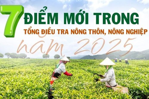 7 điểm mới trong Tổng điều tra nông thôn, nông nghiệp năm 2025