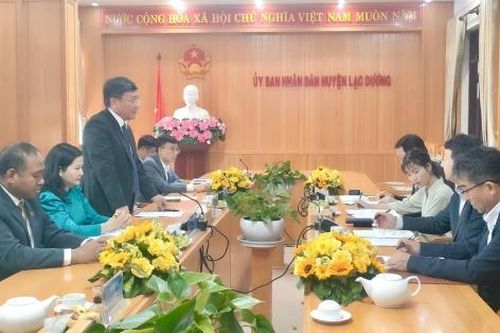Lạc Dương tiếp tục mở rộng hợp tác hữu nghị với thành phố Yachiyo - Nhật Bản