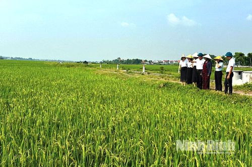 Khánh Cư in dấu chân Người