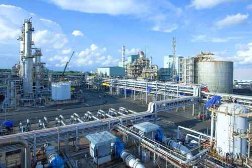 Đạm Cà Mau (DCM): Sản xuất khí công nghiệp, nghiên cứu xuất khẩu nông sản