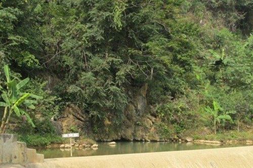 Độc đáo suối cá thần Văn Nho