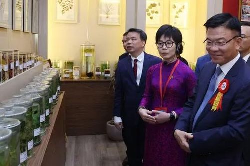 Giá trị y học cổ truyền Việt Nam cần được bảo tồn