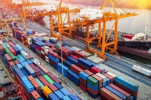 Cảng Đoạn Xá (DXP) trình kế hoạch lợi nhuận 2025 giảm, hủy tăng vốn, thay loạt nhân sự