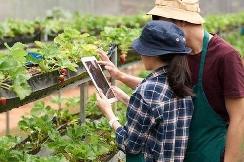 TPHCM: Thúc đẩy phát triển du lịch, đảm bảo tăng trưởng kinh tế hai con số