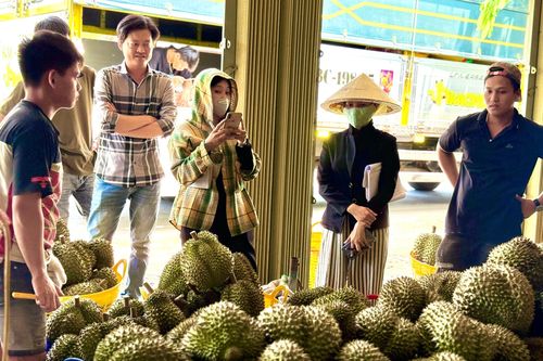 Chuyên gia 'vạch trần' cách cadimi âm thầm 'đầu độc' ngành sầu riêng