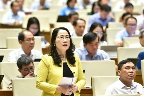 Đề nghị bổ sung tòa án chuyên biệt vào hệ thống tòa án