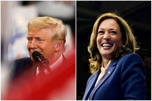 Ông Trump muốn điều tra nhiều ngôi sao ủng hộ bà Harris