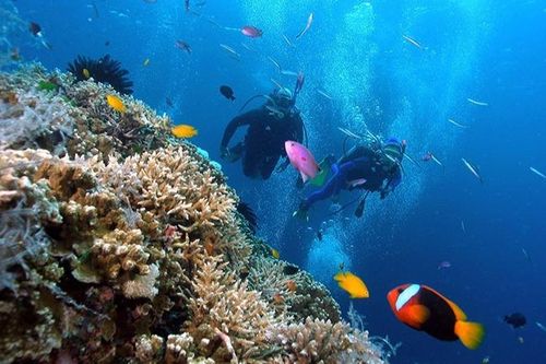 Nha Trang lọt top các điểm đến 'du lịch chậm' hàng đầu châu Á