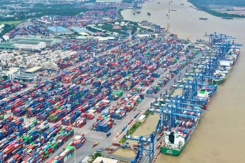 Truy tố nhóm cán bộ hải quan tiếp tay cho doanh nghiệp buôn hàng lậu