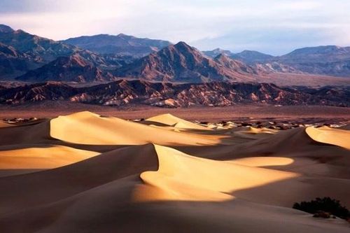 Giật mình nơi nóng nhất Trái Đất, nhiều loài vẫn sống bền bỉ