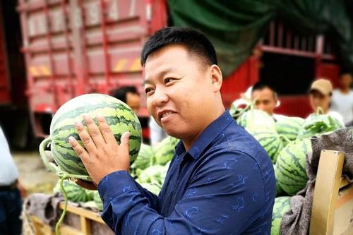 'Nội soi' dưa hấu, 'gõ gõ vài cái' kiếm ngay 35 triệu đồng