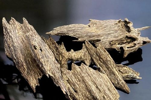 4 loại gỗ quý hiếm đắt đỏ bậc nhất thế giới