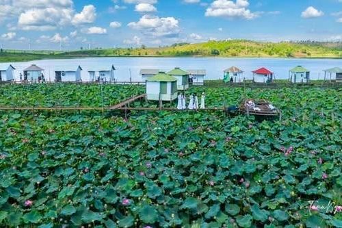 Hồ Ia Băng tuyệt đẹp mùa hoa sen nở